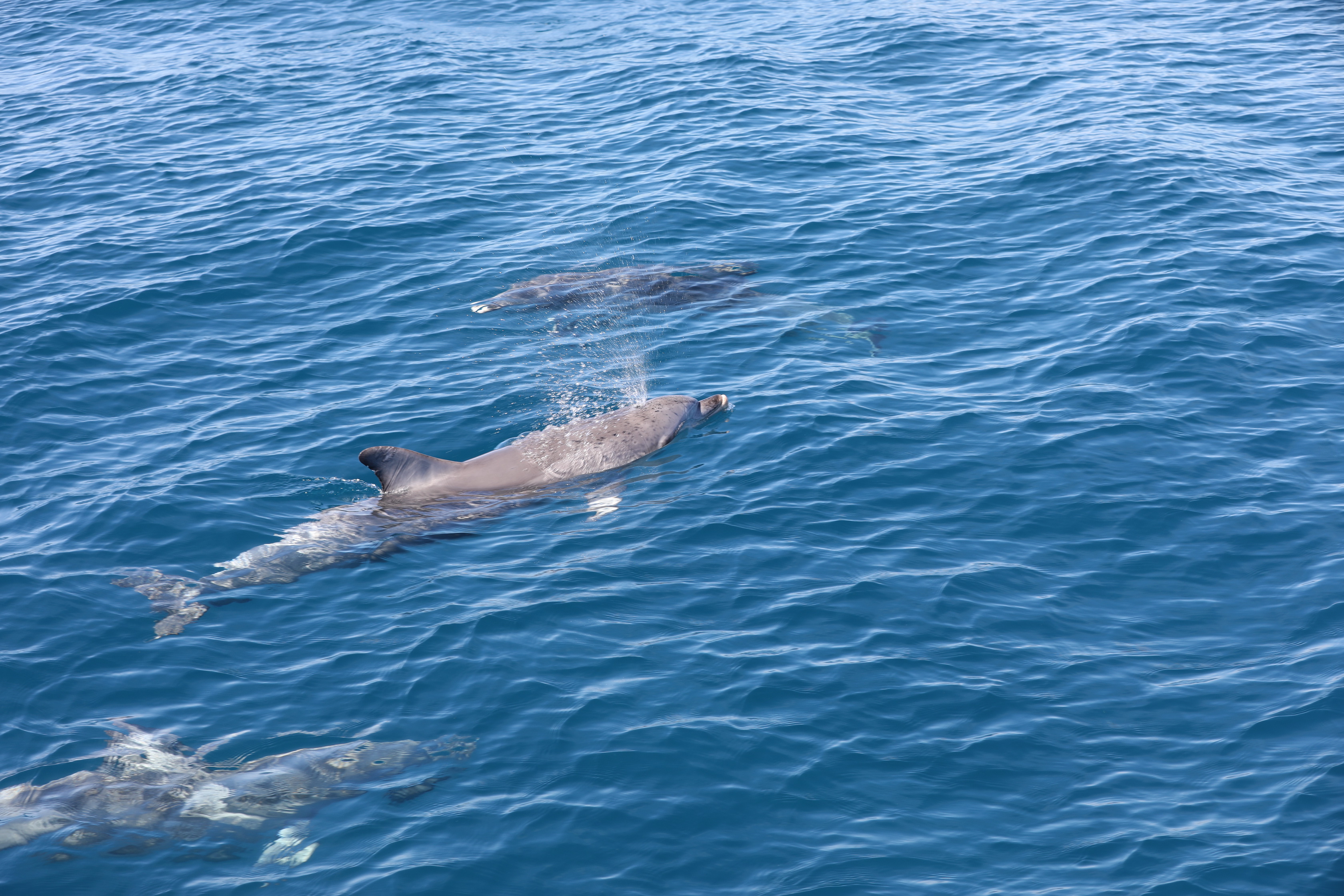 2019 12 07 09 41 48 Canon EOS 5D Mark IV 0022